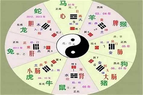 琁五行|瓒字的五行属性